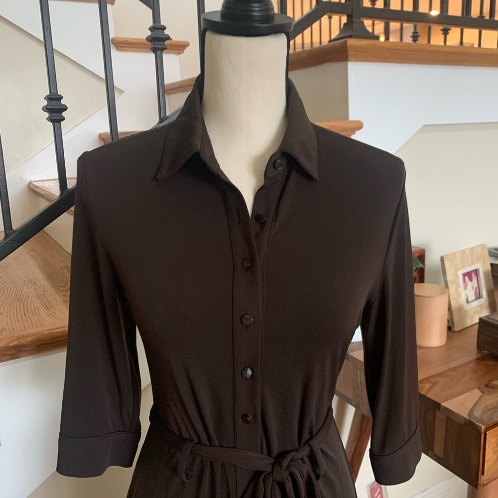 70s Sheek Dress